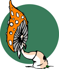 drawing of mushrooms, flying mushrooms, vector graphics