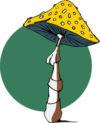 drawing of mushrooms, flying mushrooms, vector graphics