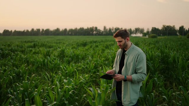 Young Businessman Or Farmer Taking Picture Of Cornfield In Summer, Using Modern Tablet