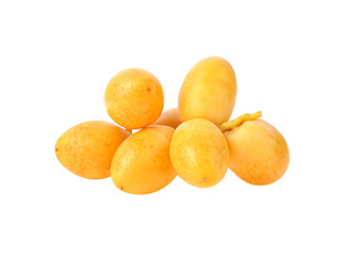 date palm on transparent png