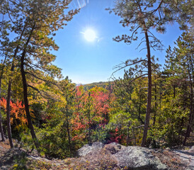 Fototapety na wymiar - Fototapeta24.pl