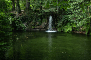 Cascata do lago no meio da floresta