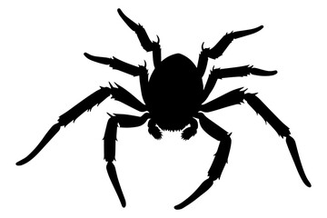 Scary spider silhouette. vector illustration