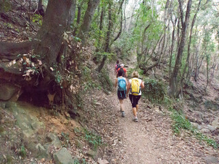 Italia, Toscana, Livorno, costa di mare tra Baratti e Piombino.