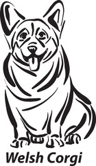 black and white dogs Corgi breed design line art most popular brush stroke freehand draw vector illustration