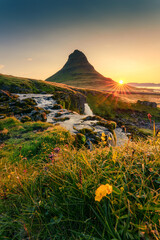 Sunrise over Kirkjufell mountain with waterfall flowing and wildflower blooming in summer at Iceland