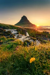 Gordijnen Sunrise over Kirkjufell mountain with waterfall flowing and wildflower blooming in summer at Iceland © Mumemories