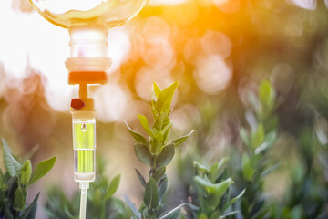 Natural leave green set vitamin iv drip treatment.