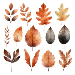 Set of leaves autumn watercolor
