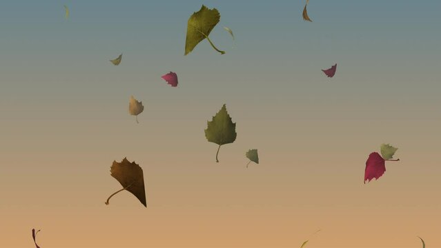animated particles 3D silver birch leaves, autumn, fall, seasonal, seamless loop with luma mattes for all leaves and for foreground only 