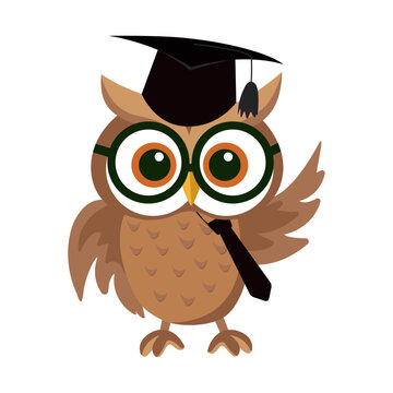 Cartoon owl wearing academic cap and tie isolated on white background
