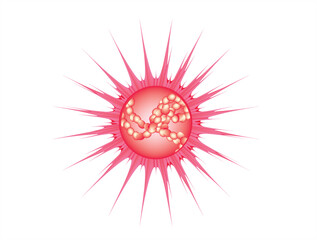 spherical virus inside view 