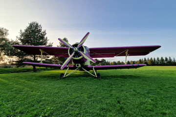 An old, abandoned plane in violet and yellow.