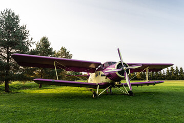 An old, abandoned plane in violet and yellow.