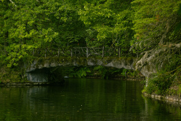 Fototapeta na wymiar Ponte romântica sobre a lagoa na floresta