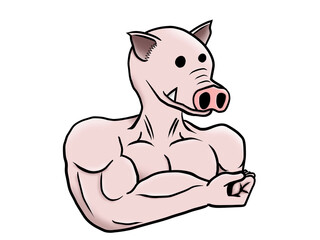 Pig muscular