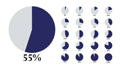 5,10,15,20,25,30,35,40,45,50,55,60,65,70,75,85,90,95,100 numbers pie chart percentage graph design, Infographic Vector 3d Pie Chart, Colorful circle percentage diagrams for infographic.