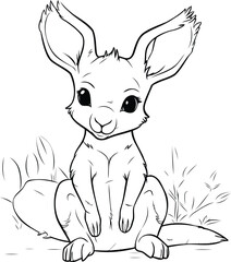 Cute kangaroo sitting and looking at the camera. Hand drawn vector illustration.