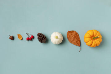 Autumn holiday minimal background from pumpkins, colorful dried leaves and fall decorations. Happy thanksgiving day, autumn harvest and halloween concept. .