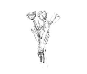 Minimal hand holding bouquet of flowers. illustration. Simple bouquet of flowers in stylized ink brush drawing vector design.