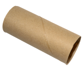 tube en carton, mandrin papier toilette sur fond transparent