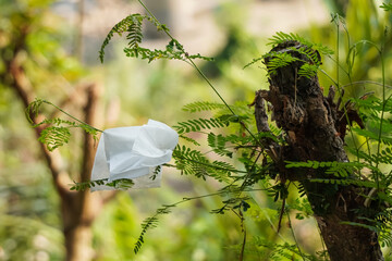 Used tissue paper that is thrown away carelessly. Tissue stuck to a tree branch with bokeh...