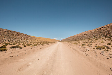 Fototapeta na wymiar desierto de atacama llamas flora humedales dinosaurios