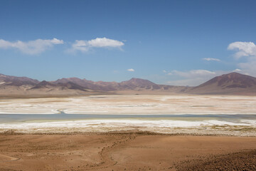 Fototapeta na wymiar desierto de atacama llamas flora humedales dinosaurios