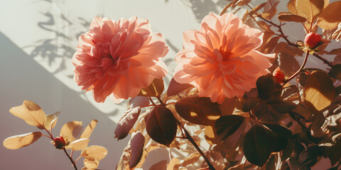 Shadows Around Pink Flower and Green Leaves in Light Orange and Gold