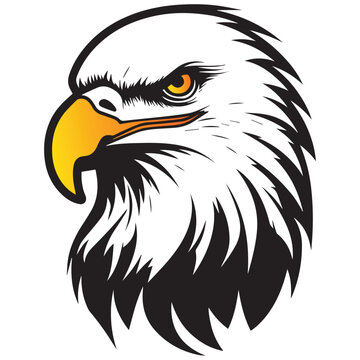 Vector illustration of a bald eagle head drawing with yellow beak and yellow eyes