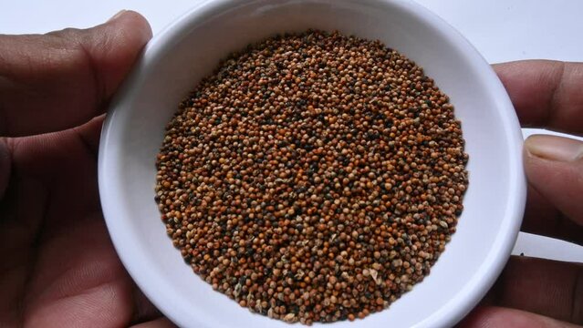Eleusine coracana or finger millet. It is called Ragi and madua in India and Kodo in Nepal. It  is an annual herbaceous plant. Its widely grown as a cereal crop in the in Africa and Asia.
