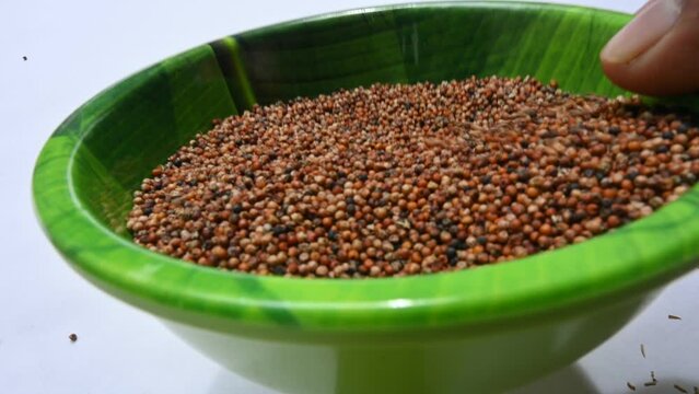 Eleusine coracana or finger millet. It is called Ragi and madua in India and Kodo in Nepal. It  is an annual herbaceous plant. Its widely grown as a cereal crop in the in Africa and Asia.
