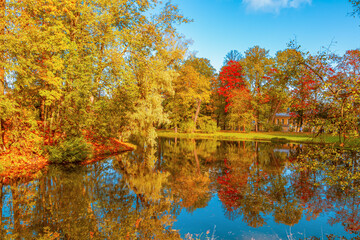 Colorful autumn park on a sunny day. Beautiful autumn landscape with yellow and red trees.