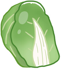 Fresh chinese cabbage