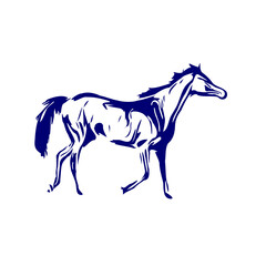 line sketch of a horse as an element for making organizational or company logos, emblems and activity symbols