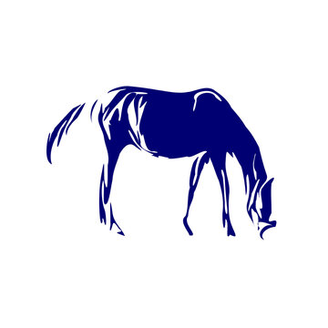 line sketch of a horse as an element for making organizational or company logos, emblems and activity symbols