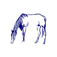 line sketch of a horse as an element for making organizational or company logos, emblems and activity symbols