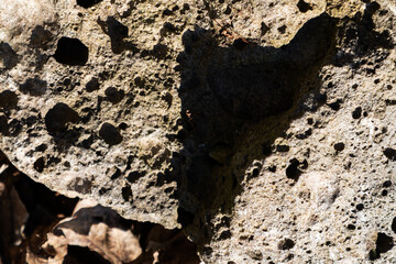 Stone abstract texture. Surface grunge backdrop. Dirty effect pattern. Material background.