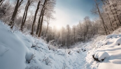 A winter hike through a snow-covered forest with open sky space for an adventurous quote or message.