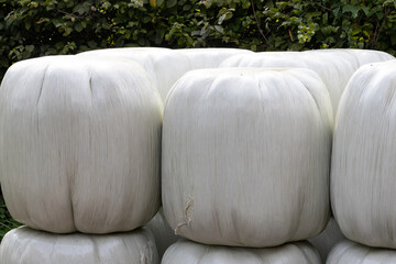 Ausschnitt von kleinen Heulage Ballen gestapelt, Wintervorrat f&uuml;r die Pferde vor einer Hecke gelagert