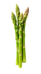 Fresh Green Asparagus. Isolated on Transparent background.