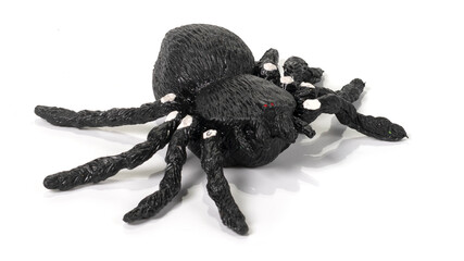 Rubber spider toy isolated on white background
