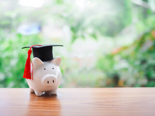 Piggy bank with graduation hat. Copy space for text, Back to school, Education concept