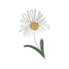 Daisy one line art. Chamomile black stroke continuous line on white background. Floral wall art design. Vector illustration.