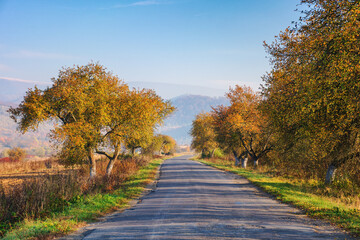 Fototapeta premium old cracked country road through rural valley in morning light. autumnal scenery with trees in fall colors on the roadside. mountains in the hazy distance