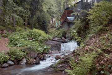 A wooden house with a cascading stream flowing through a lush green forest