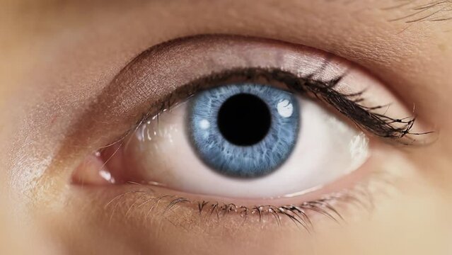 Woman Blue Eye Looking at Camera Close Up Blinking. Beautiful Human Eye Iris, Opening Pupil. Healthy Eyesight concept. 
