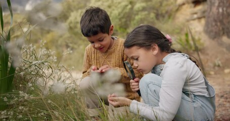 Adventure, nature and children exploring in the mountain for outdoor discovery together. Magnifying glass, fun and young kids playing with plants for research on a hike in countryside on vacation.