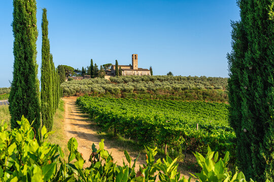 The monastery of Monte Oliveto Minore, near San Giminiano, on sunny summer afternoon. Province of Siena, Tuscany, Italy.