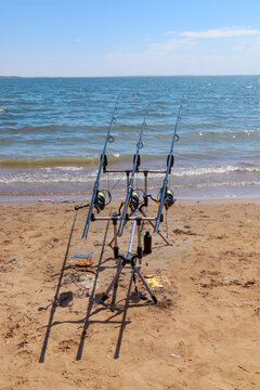 Rods with reels on the rod support system. Carp rods.